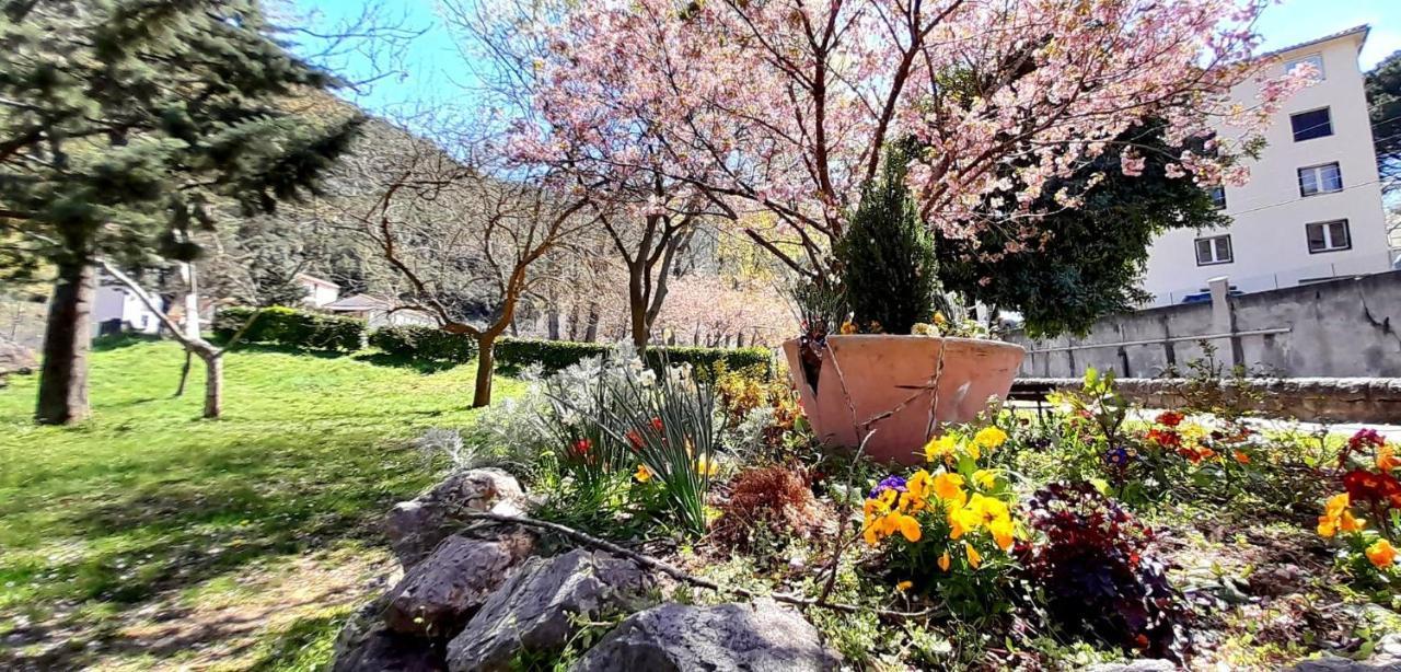 T2 Tout Confort Amélie-les-Bains-Palalda Kültér fotó