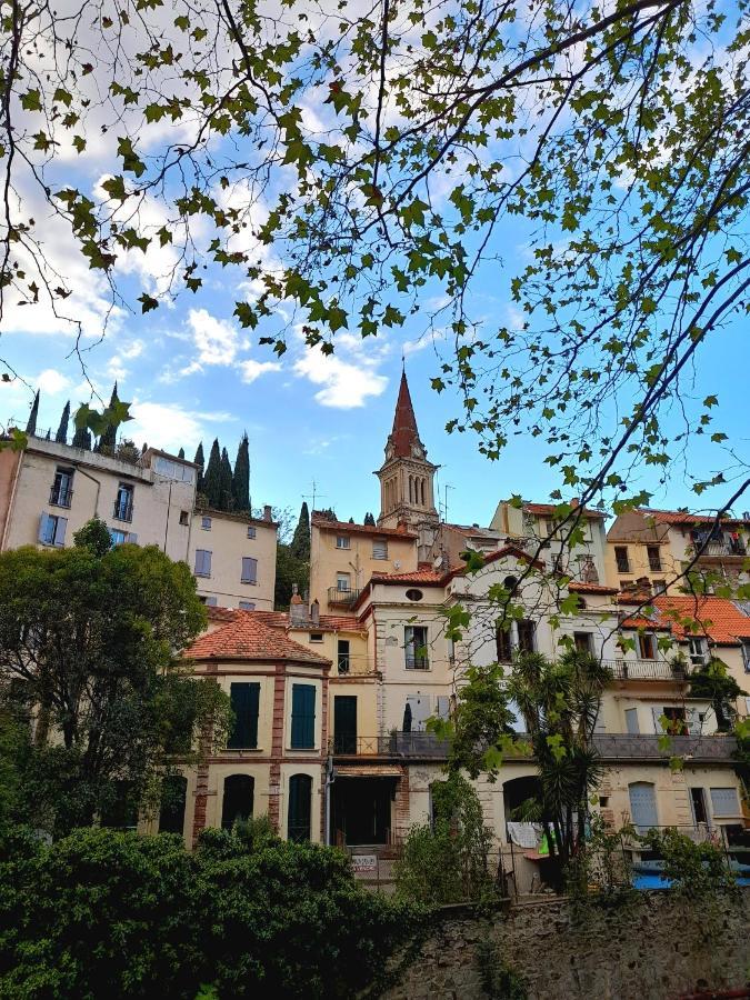 T2 Tout Confort Amélie-les-Bains-Palalda Kültér fotó