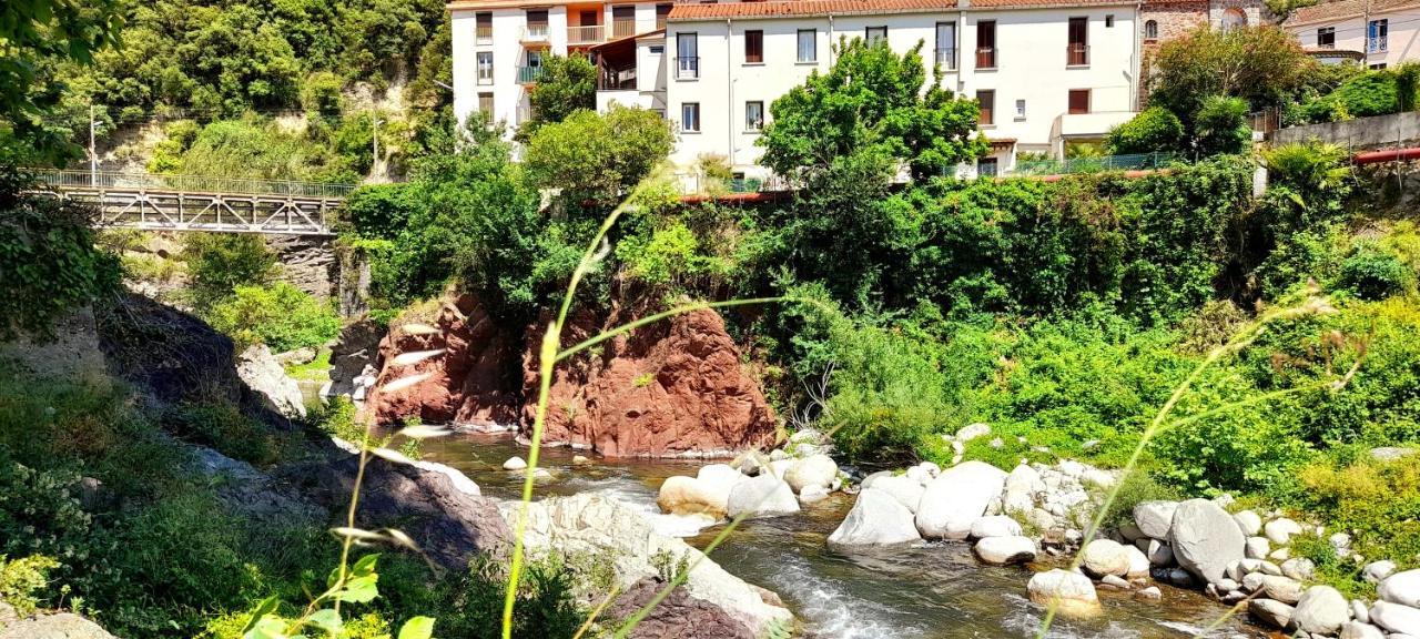 T2 Tout Confort Amélie-les-Bains-Palalda Kültér fotó